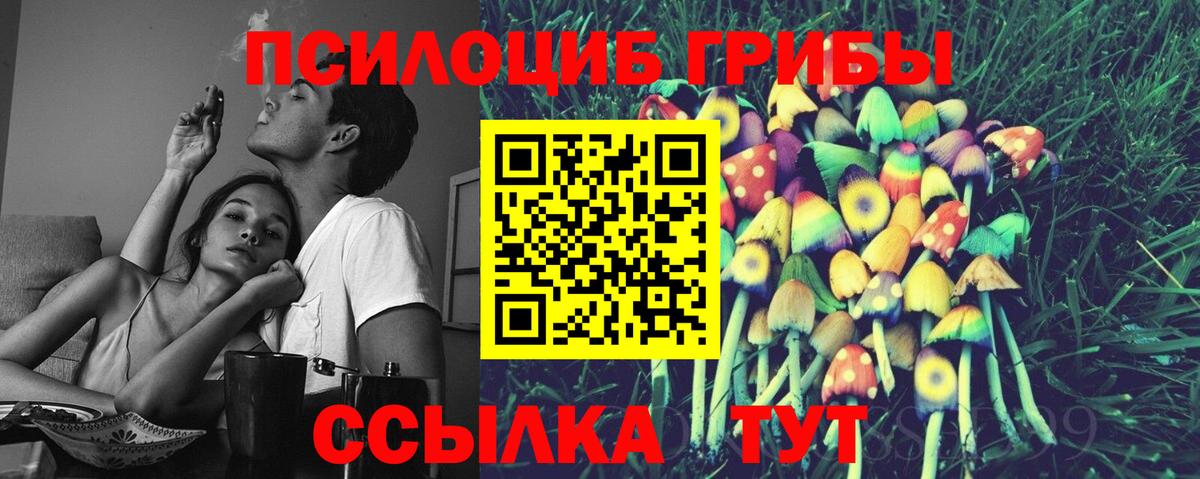 Галлюциногенные грибы Cubensis  Вход с VPN  Псилоцибиновые грибы прущие грибы  Донецк 