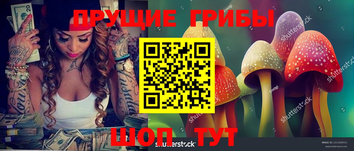 Псилоцибиновые грибы Psilocybe Донецк