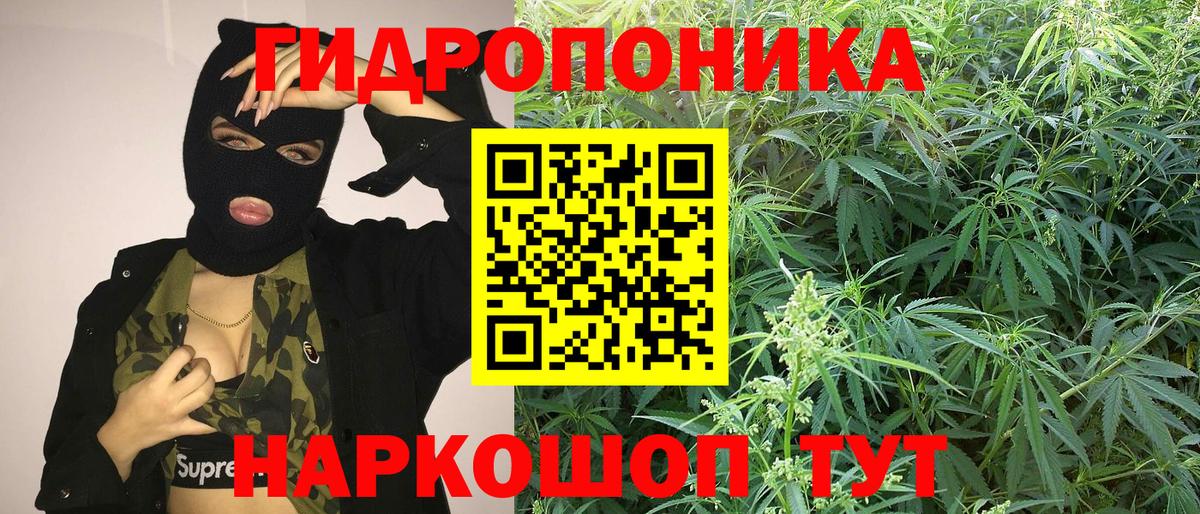 Шишки марихуана тримм  Вход с VPN  Канабис OG Kush  Донецк  Бошки Шишки тримм 
